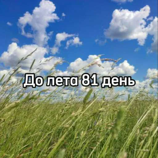 ☀️ Стикер «До лета» для Telegram