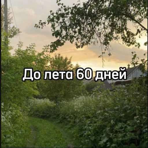 ☀️ Стикер «До лета» для Telegram