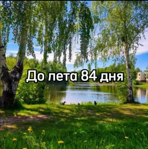 ☀️ Стикер «До лета» для Telegram