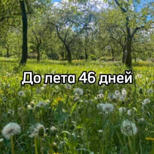 ☀️ Стикер «До лета» для Telegram