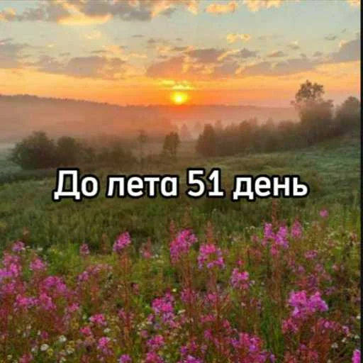 ☀️ Стикер «До лета» для Telegram