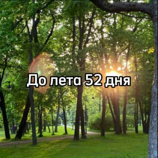 ☀️ Стикер «До лета» для Telegram
