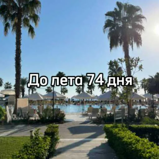 ☀️ Стикер «До лета» для Telegram