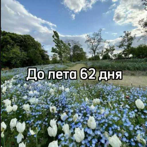 ☀️ Стикер «До лета» для Telegram