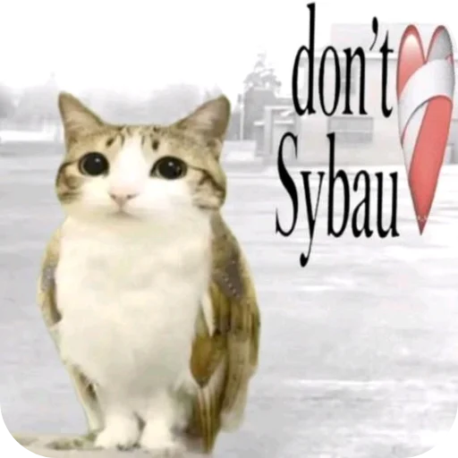 🐱 Стикер «Meow» для Telegram