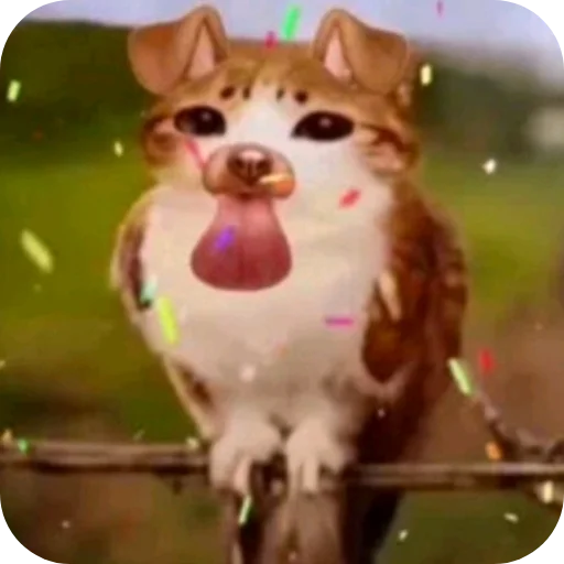 👄 Стикер «Meow» для Telegram