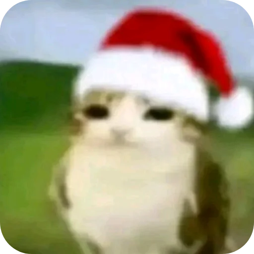 👍 Стикер «Meow» для Telegram