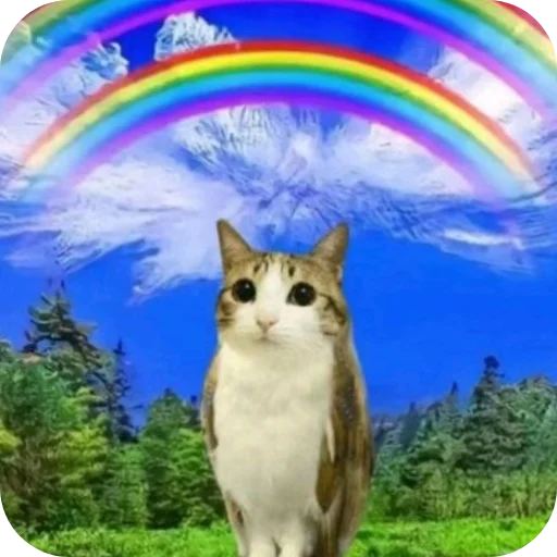 🌈 Стикер «Meow» для Telegram