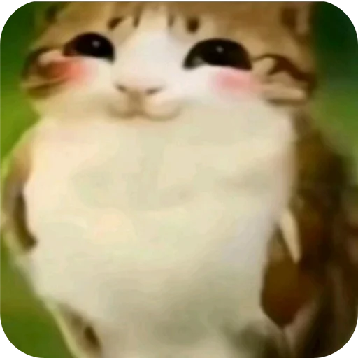 🐱 Стикер «Meow» для Telegram