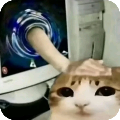 🐱 Стикер «Meow» для Telegram