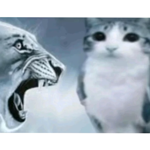 🐱 Стикер «Meow» для Telegram