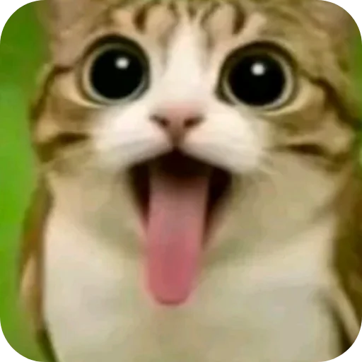 🐱 Стикер «Meow» для Telegram