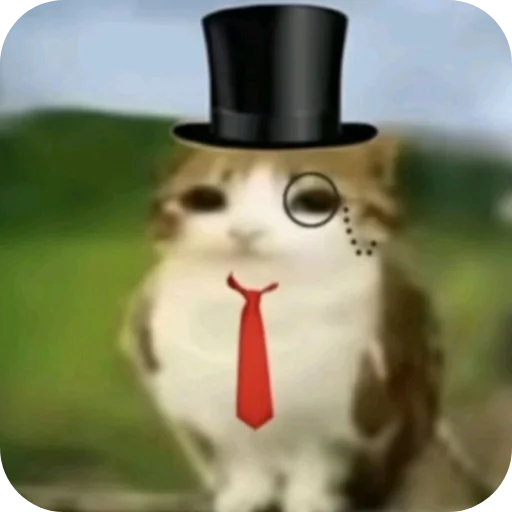 🥸 Стикер «Meow» для Telegram