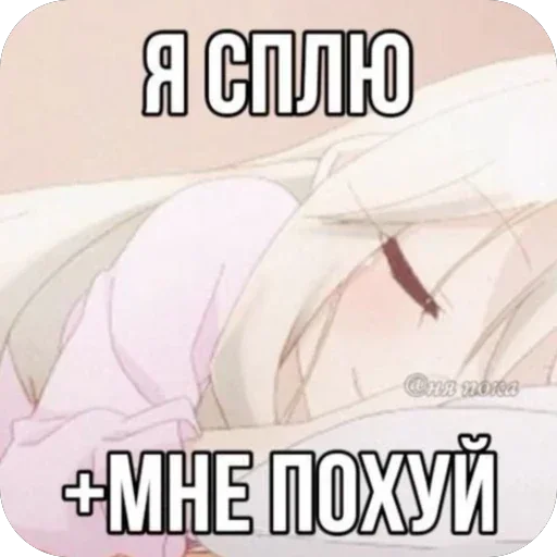 🫥 Стикер «Чихуахуа» для Telegram