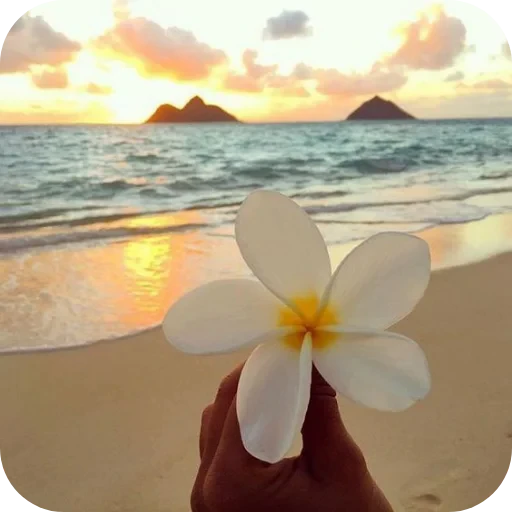 🏖 Стикер «сонечка» для Telegram
