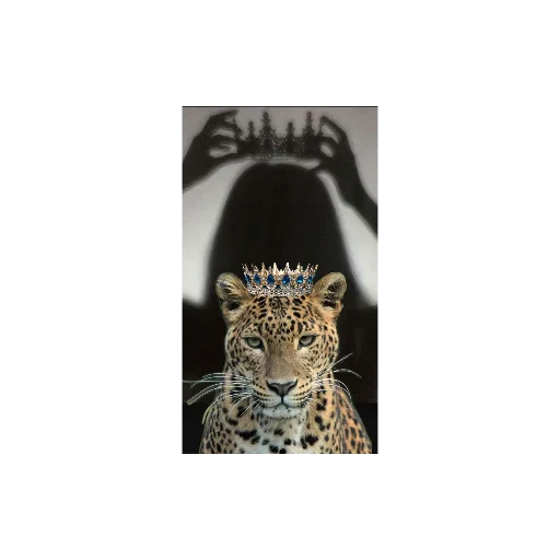 🐱 Стикер «сонечка» для Telegram