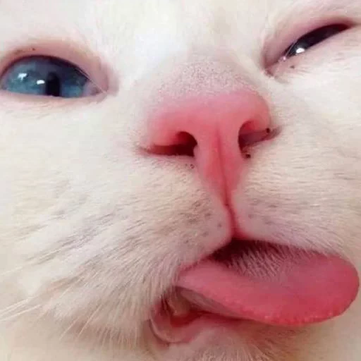 🌟 Стикер «сонечка» для Telegram