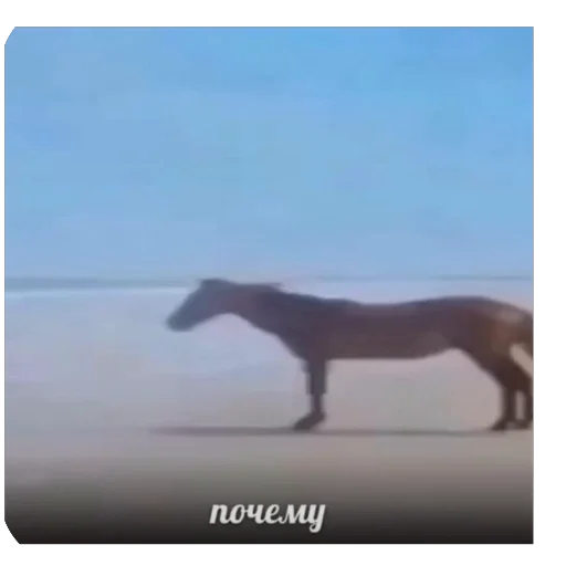 🧐 Стикер «5 минут мозг это че бу» для Telegram