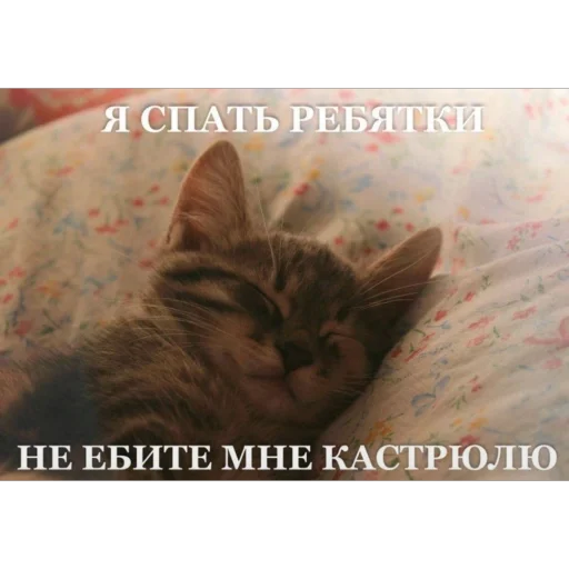 😴 Стикер «5 минут мозг это че бу» для Telegram