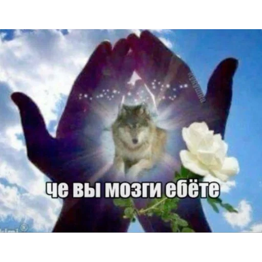 😡 Стикер «5 минут мозг это че бу» для Telegram