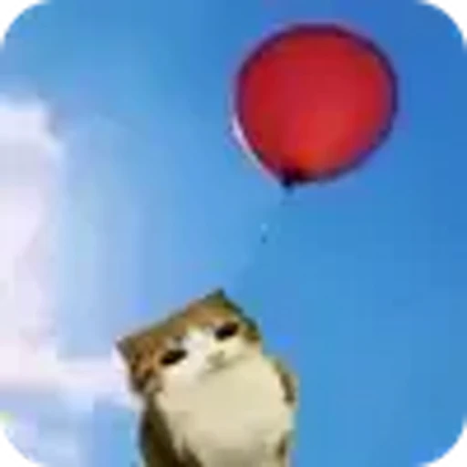 🎈 Эмодзи «Котосова» для Telegram
