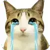 😭 Эмодзи «Котосова» для Telegram