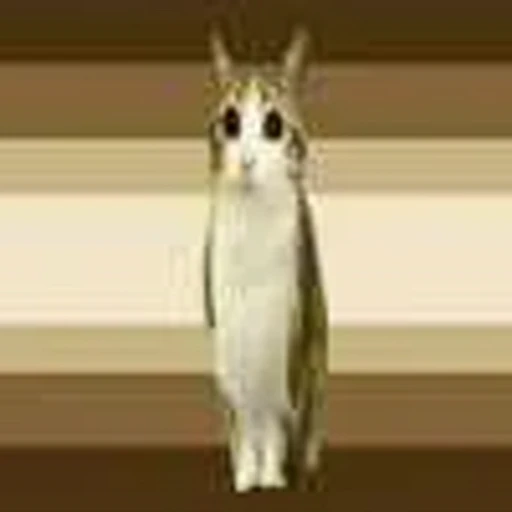 😊 Эмодзи «Котосова» для Telegram