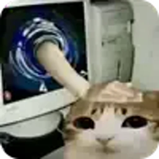 🐱 Эмодзи «Котосова» для Telegram