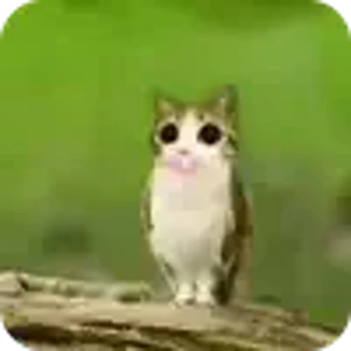 🐱 Эмодзи «Котосова» для Telegram