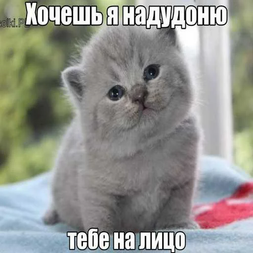 😱 Стикер «лол part2» для Telegram