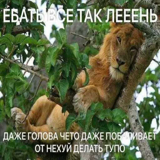 😘 Стикер «лол part2» для Telegram