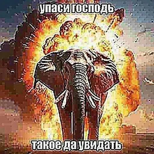 😳 Стикер «лол part2» для Telegram