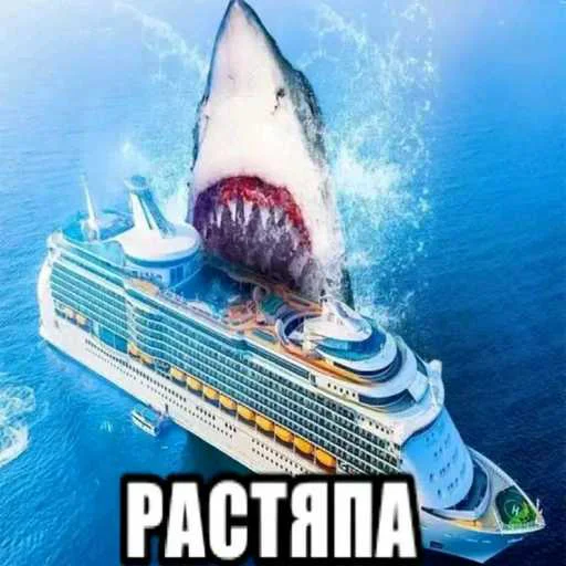 🦈 Стикер «еблан» для Telegram