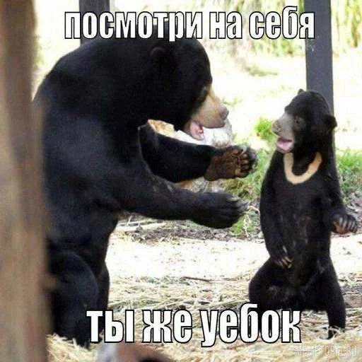 🐻 Стикер «еблан» для Telegram