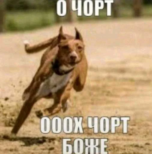 🐶 Стикер «еблан» для Telegram