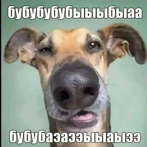 🤓 Стикер «еблан» для Telegram
