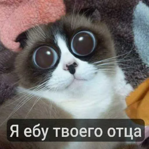 Стикерпак еблан для Telegram