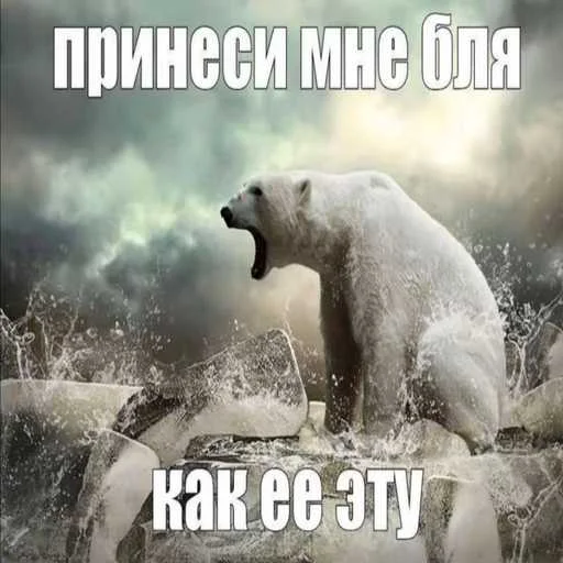🐻‍❄️ Стикер «еблан» для Telegram