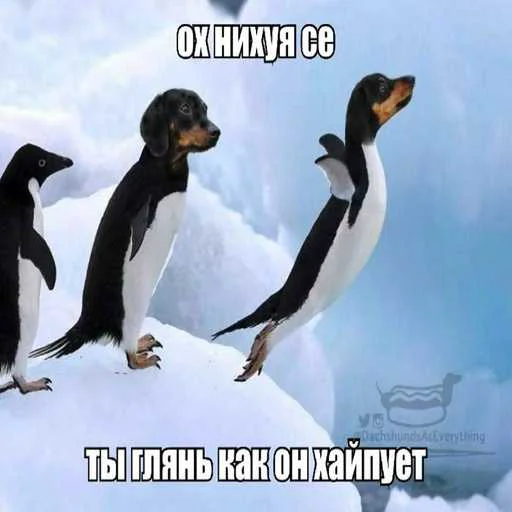 🐧 Стикер «еблан» для Telegram