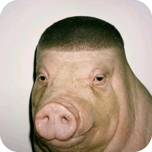 🫥 Стикер «Ackerman,» для Telegram