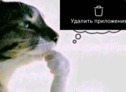 🤩 Стикер «WWHARU VIBE» для Telegram