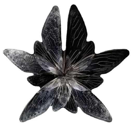 🌺 Стикер «WWHARU VIBE» для Telegram