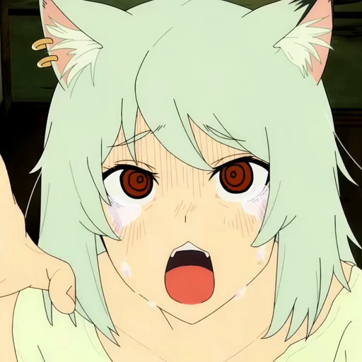 😭 Стикер «Yani Neko p2Табакошка 2 часть‍» для Telegram