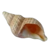 Стикер 11 Хайп