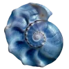 Стикер 5 Хайп
