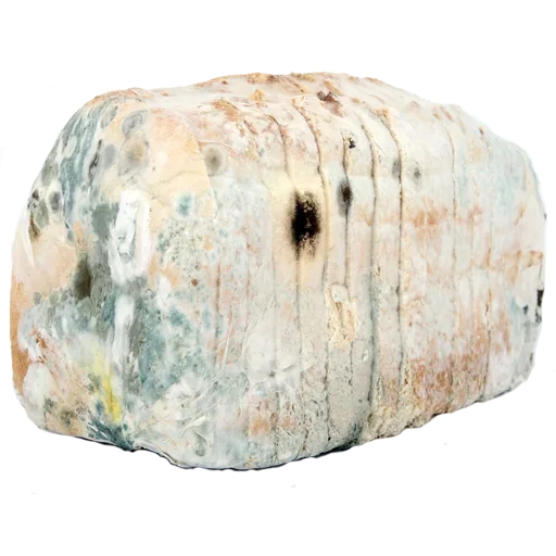 🙁 Стикер «Moldy» для Telegram