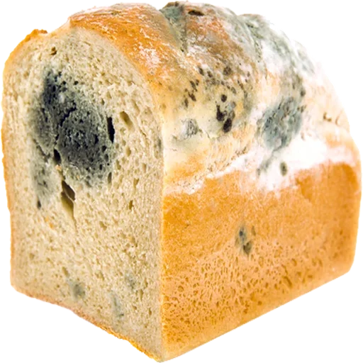 😋 Стикер «Moldy» для Telegram