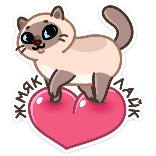 🐾 Стикер «Котик Плюш» для Telegram