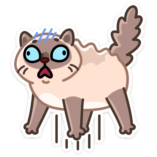 🐱 Стикер «Котик Плюш» для Telegram