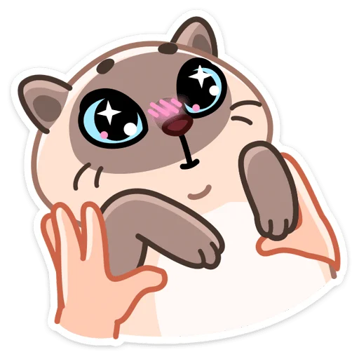 🐱 Стикер «Котик Плюш» для Telegram